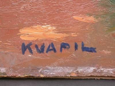 kvapil-signature-expertisez.com