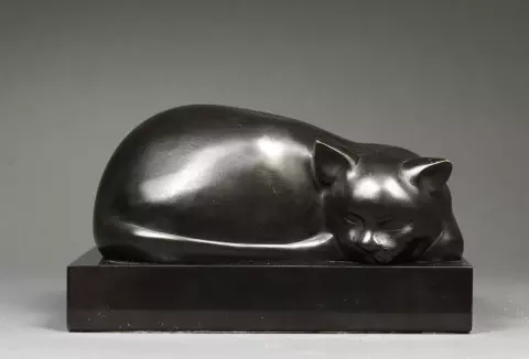 ferdinand-parpan-chat endormi