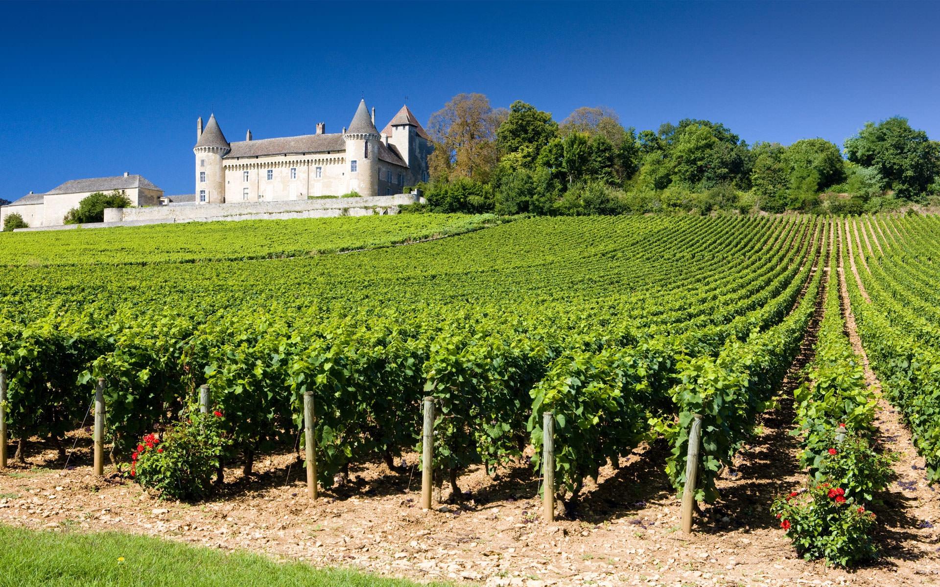 Bourgogne - expertisez.com