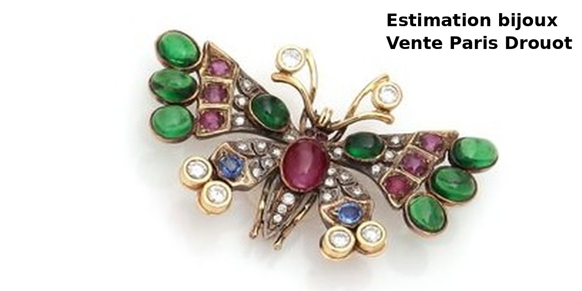 compressed_bijoux_estimation3.jpg