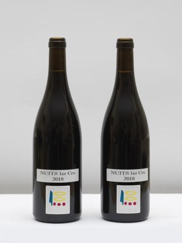 2 bouteilles Nuits Saint Georges 2018 1er Cru Prieure Roch