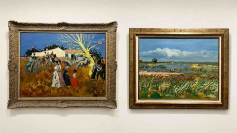 brayer-camargue