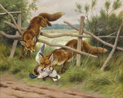 Georges Frédéric Rotig, renards chassant le colvert, aquarelle