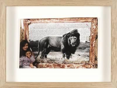 Peter Beard, lion photographie, vente aux enchères