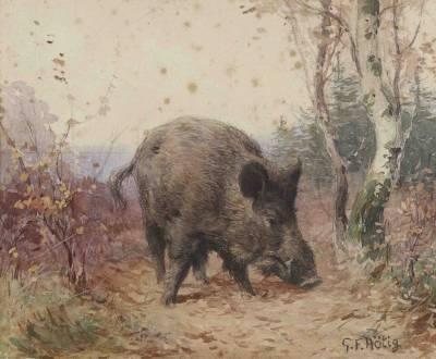 Georges Rotig, sanglier dans le sous bois, aquarelle