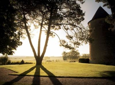 Château Yquem - expertisez